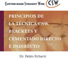 Principios de la técnica CSW.